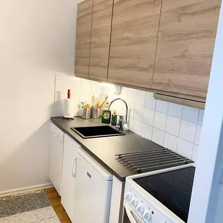 Kallio-1 - Back In Time With A Comfy - 2-room-apt Apartment Helsinki